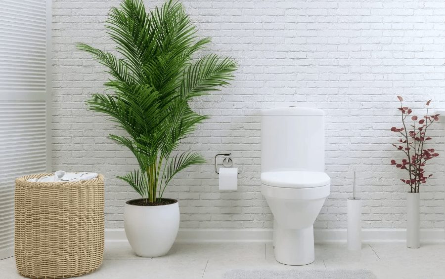 Tips Fengshui Untuk Toilet