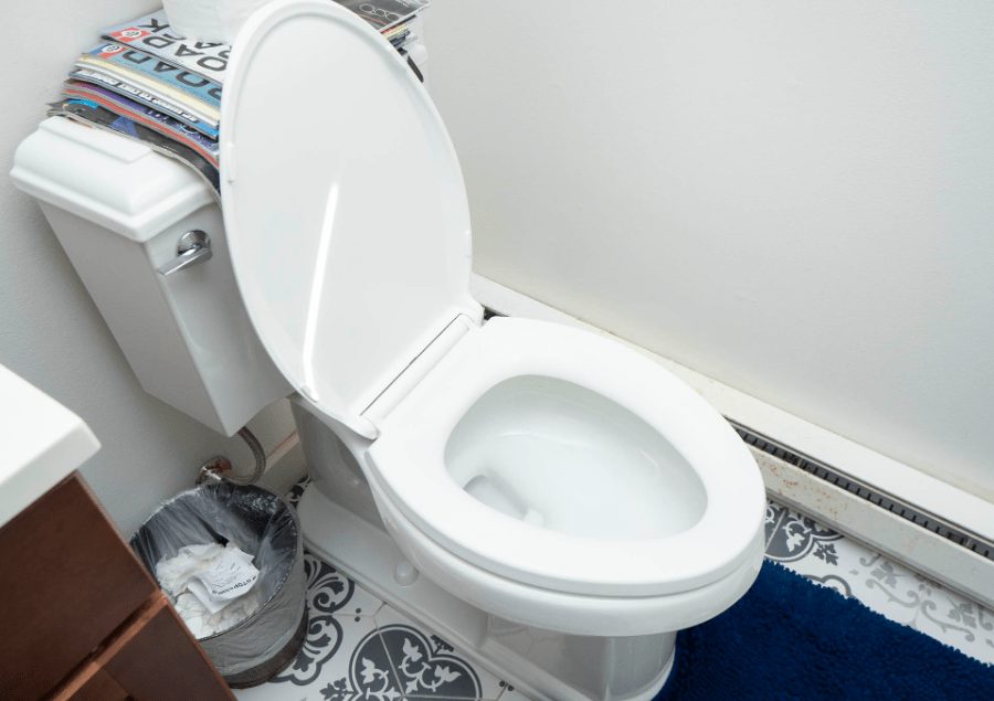 Tips Memilih Toilet yang Benar